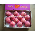 Vendez miel croustillant frais Fuji Apple- Blush